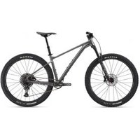 Giant Fathom 29 1 29er Mountain Bike  2023 Small - Metallic Black